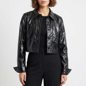 Lucyparis Cropped Jackets Womens Medium Core Black Spread Collar Long Sleeve